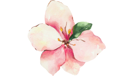 Pancha Siddhi Vedic Astrology Consultation