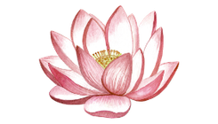 Manifestation and Vedic Astrology