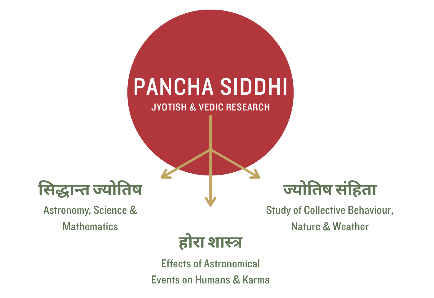 leading vedic astrology consultation online